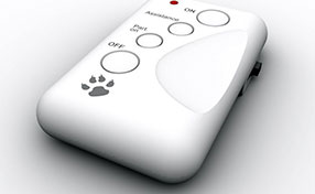 Garage Door Remotes